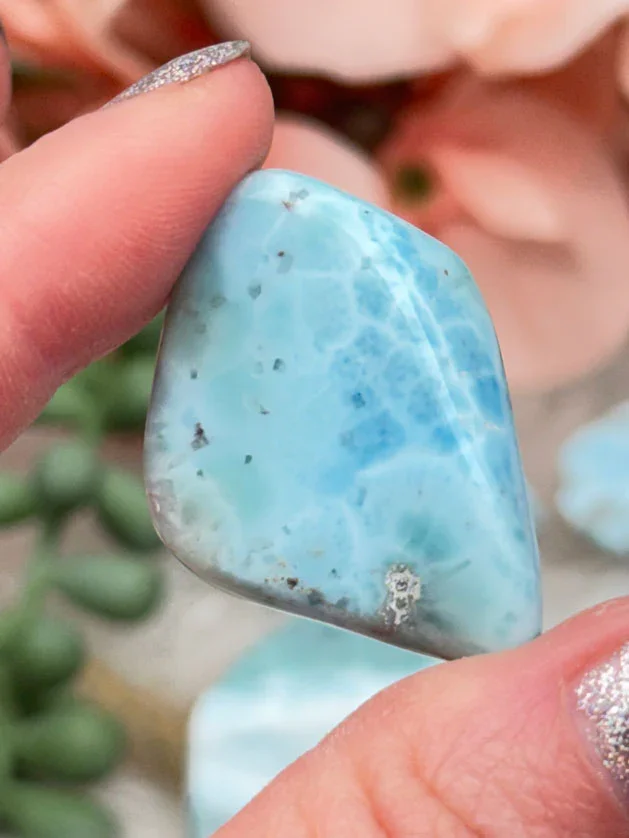 Thumbnail 11