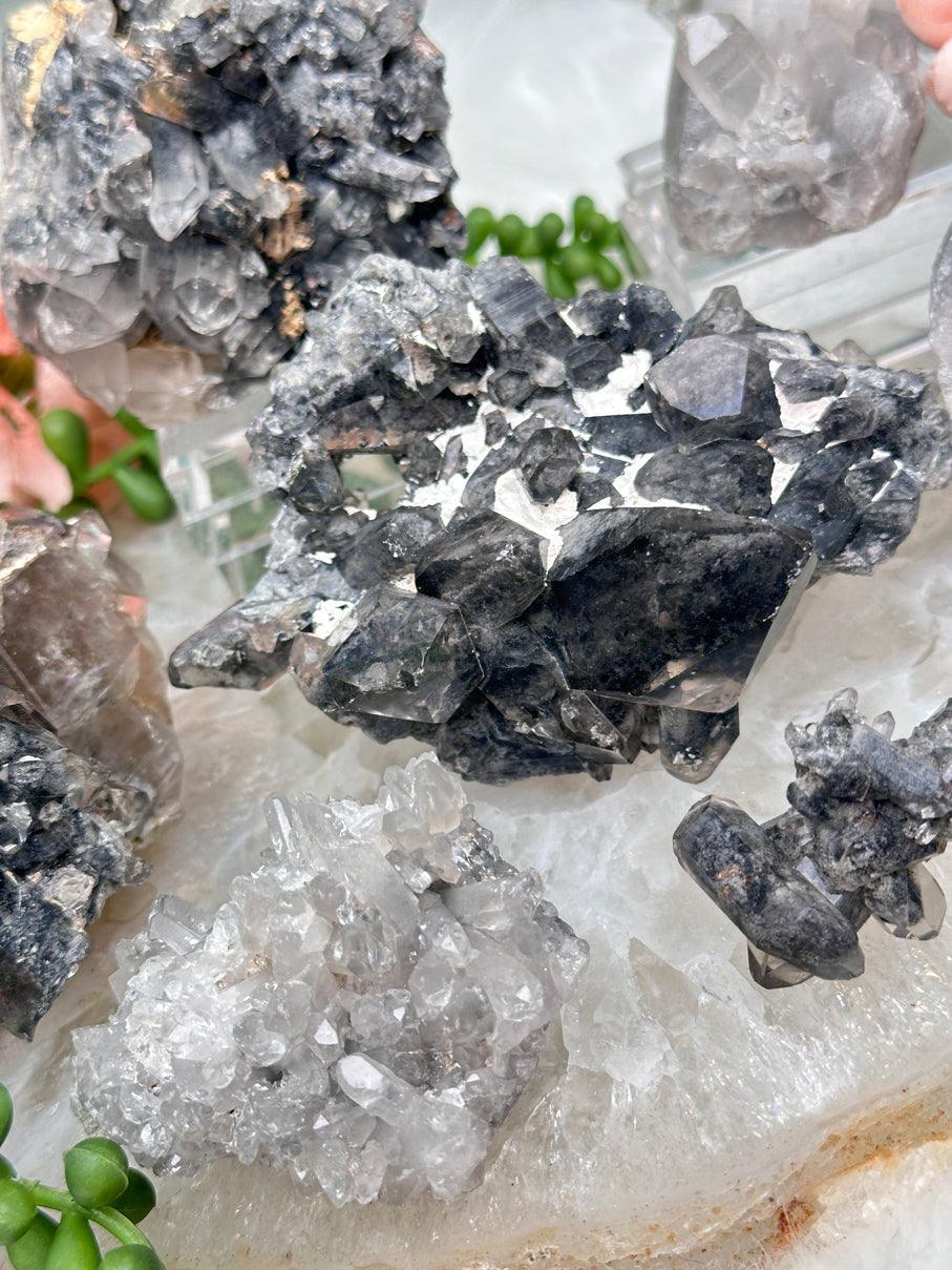 Thumbnail 10