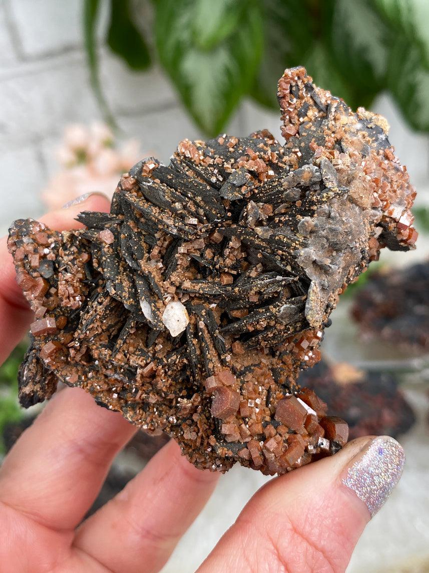 Thumbnail 15